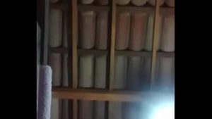 Josynha Silva Badoo Pernambucana 2