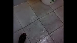 Esther, preedy presh on Facebook is horny