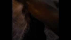 Marcus the legacy Maxwell