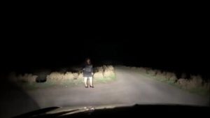 Mature MILF met on the road and did everything in the car