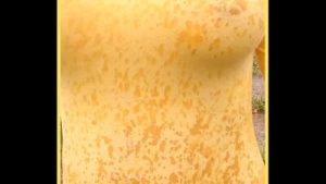 MILF wears see through shirt in the rain  perfect tits on show