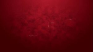 Naomi Love goes 1on1 100% Hardcore anal with big gapes, 0% pussy