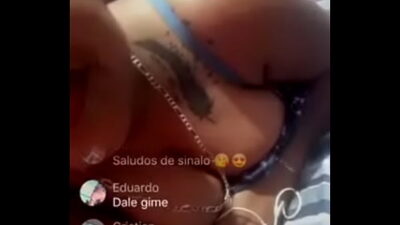Regia zorra
