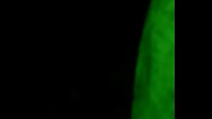 Flor G una putita del facebook