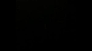 sexo caseo en auto {buen audio}