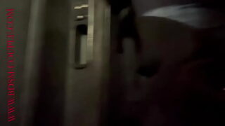 carwash petting a stroll down memory lane enjoy