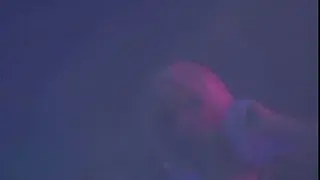 LESBIANS IN PARADISE